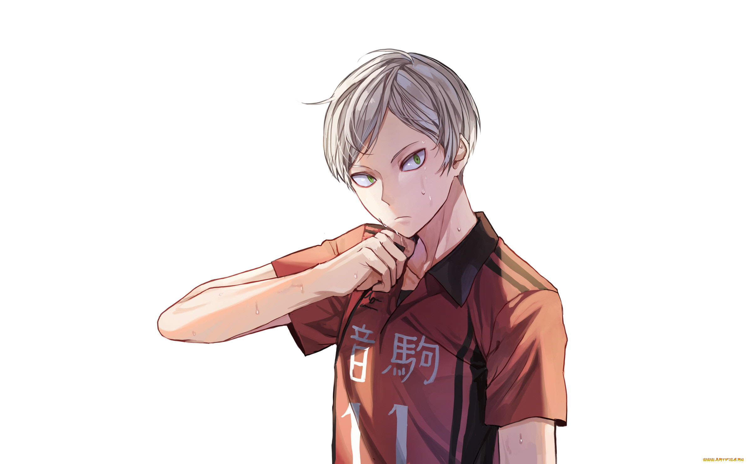 , haikyuu, 